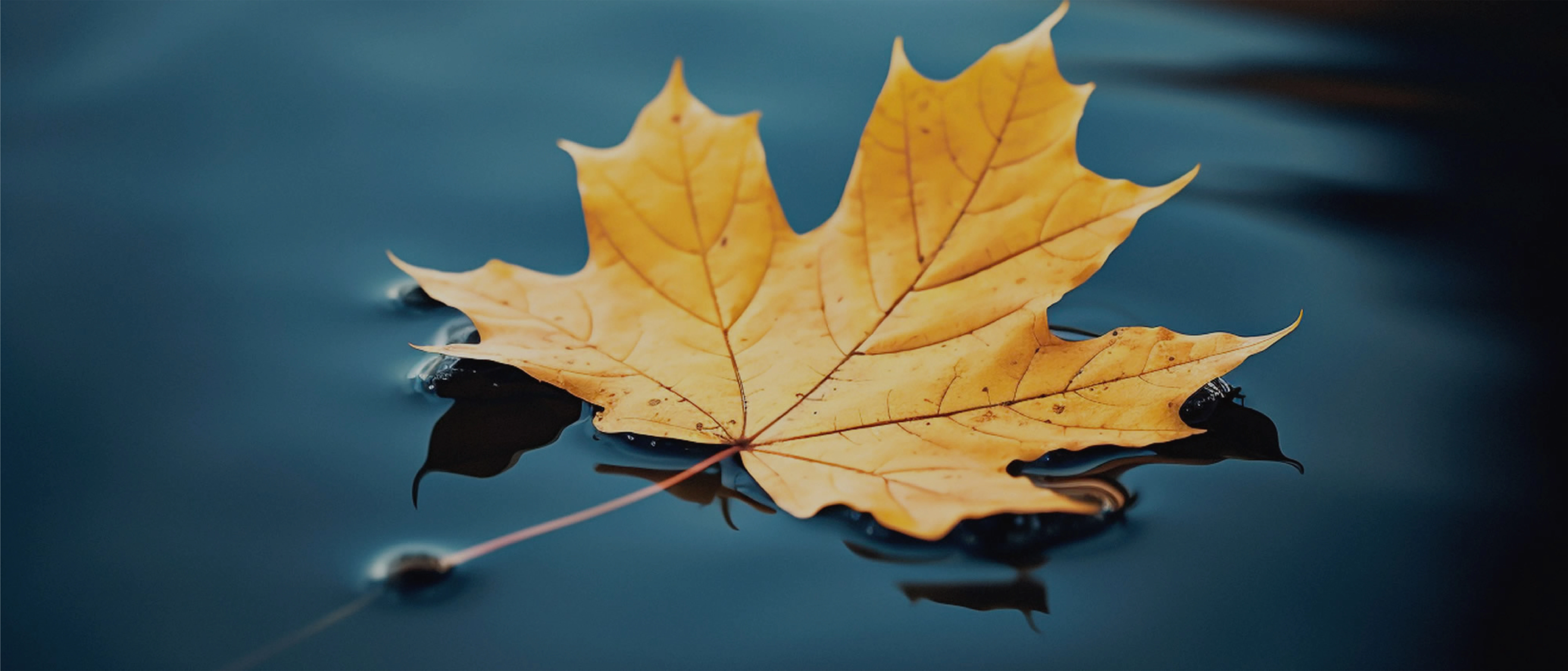 Meaning that transforms you to Peace and Love